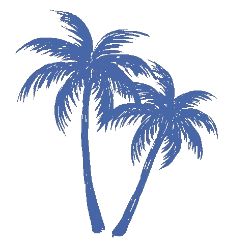 Thanks to https://giphy.com/explore/trees-swaying-stickers giphy.com/explore/trees-swaying-stickers https://giphy.com/explore/trees-swaying-stickers giphy.com/explore/trees-swaying-stickers