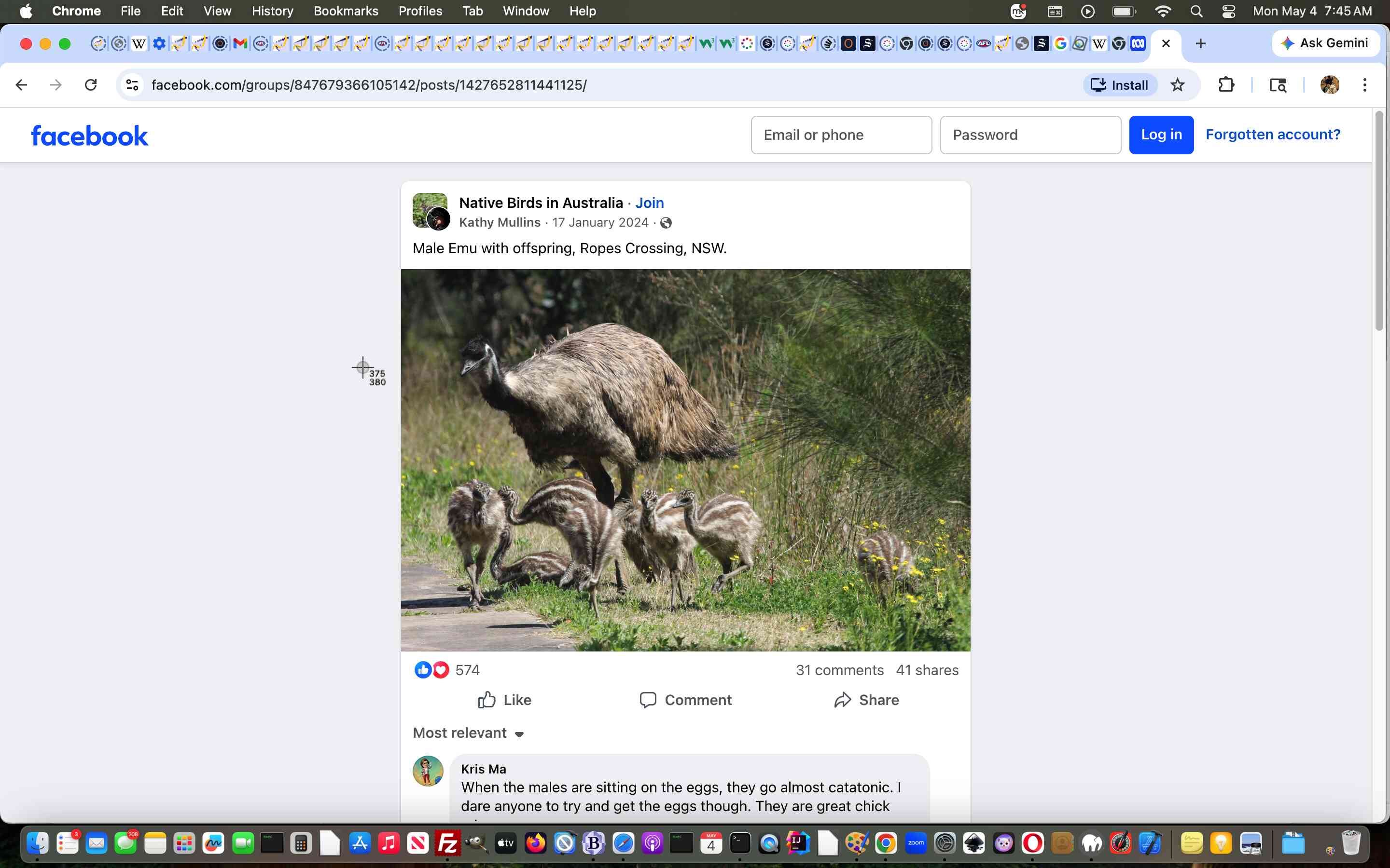 Dunsheved emus