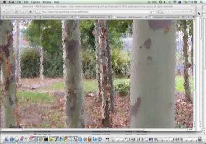 Tesol Teaching 3of4 Welcome_files/shapeimage_5.jpg