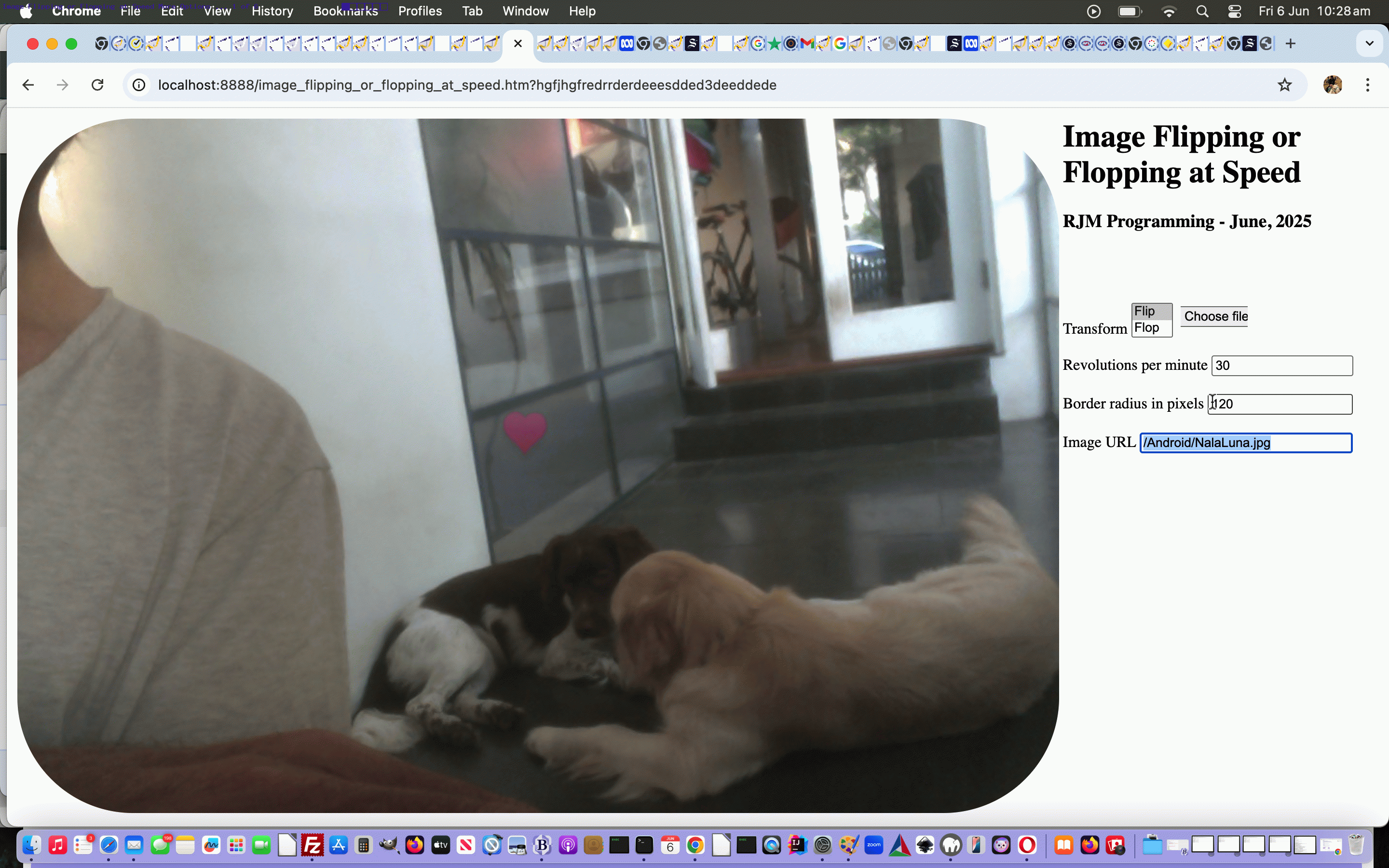 Image Flipping or Flopping at Speed Browsing Tutorial Image Flipping or Flopping at Speed Browsing Tutorial