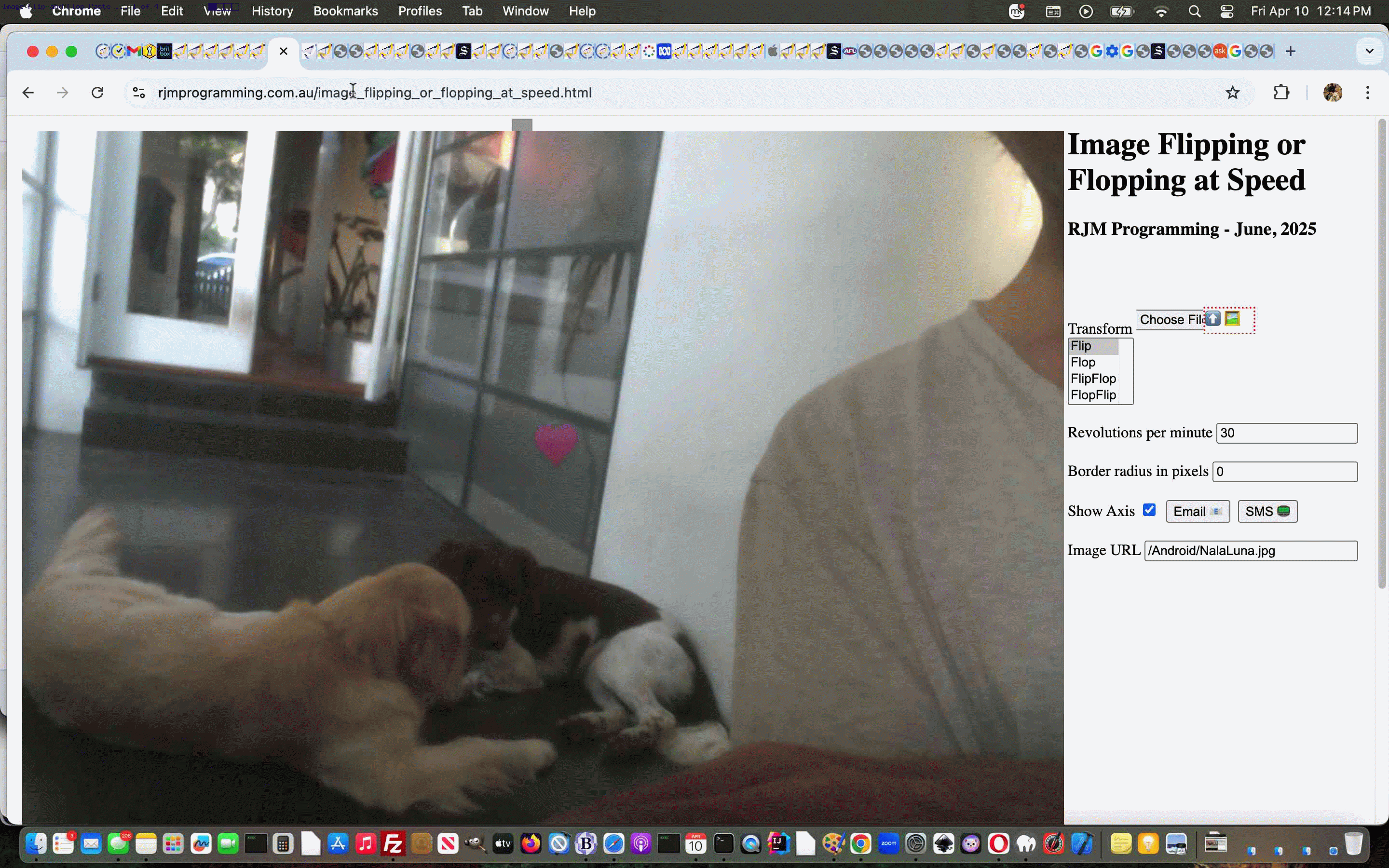 Called Upon Client Browsing Specifically Onpaste Image Copying Tutorial Called Upon Client Browsing Specifically Onpaste Image Copying Tutorial